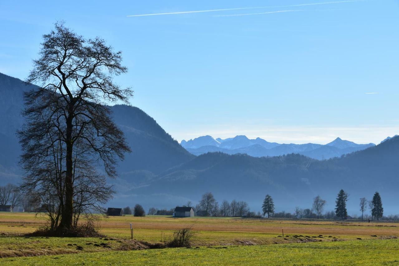Apartment Alpenheim Garmisch-Partenkirchen